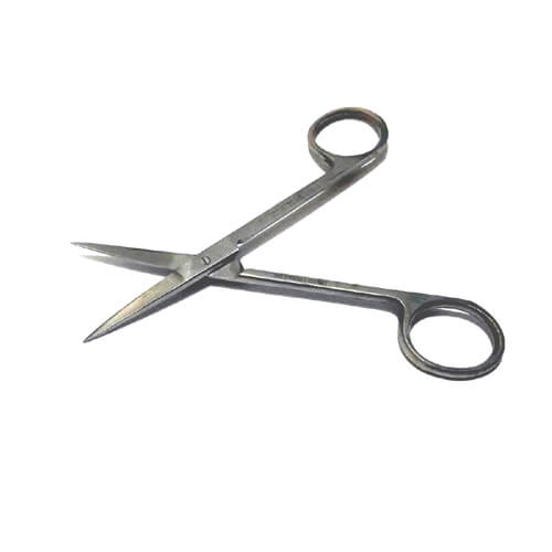 Fine Surgical or Scientific Scissor Sharp Edges Haa.jpeg