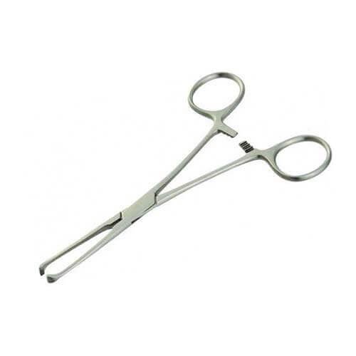 Allis Tissue Forceps 8 Inch