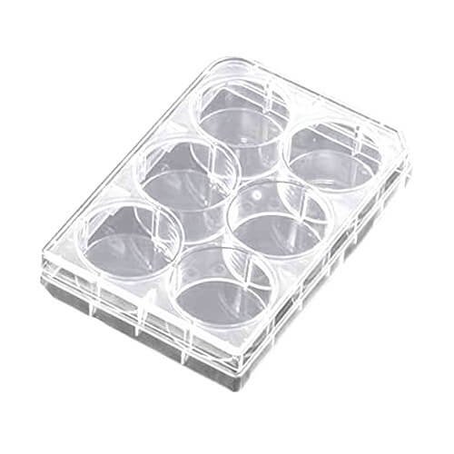Cell Culture Plate 6 Well Plastic Plate