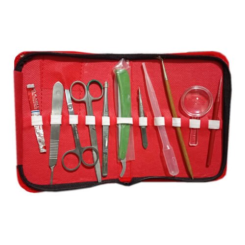 Dissecting Box for Biology Lab