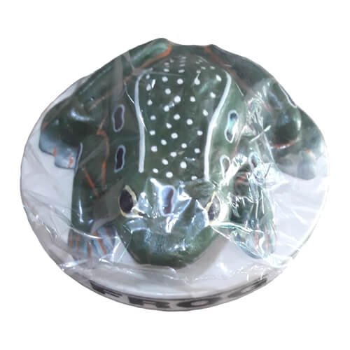 Frog Artificial Model on Board