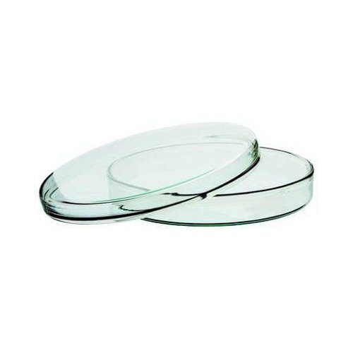 Glass Petri Dish 80 mm for Lab Use