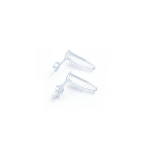 PCR Tube 0.2ml 1000 Pcs with Flat Cap