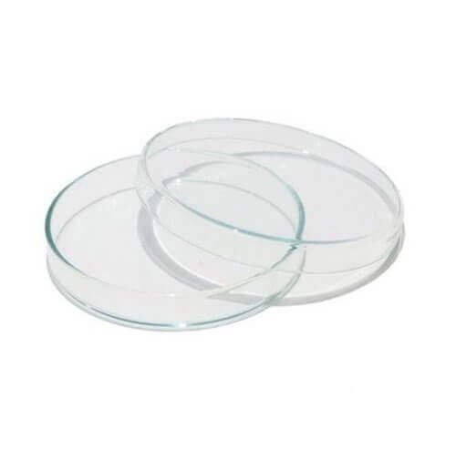 Plastic Petri Dishes 90 mm for Biology